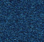 Forbo Coral Brush - 5722 cornflower blue