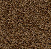 Forbo Coral Brush - 5716 masala brown