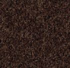 Forbo Coral Brush - 5724 chocolate brown