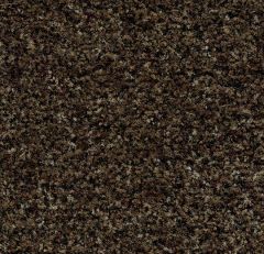 5774 Biscotti brown